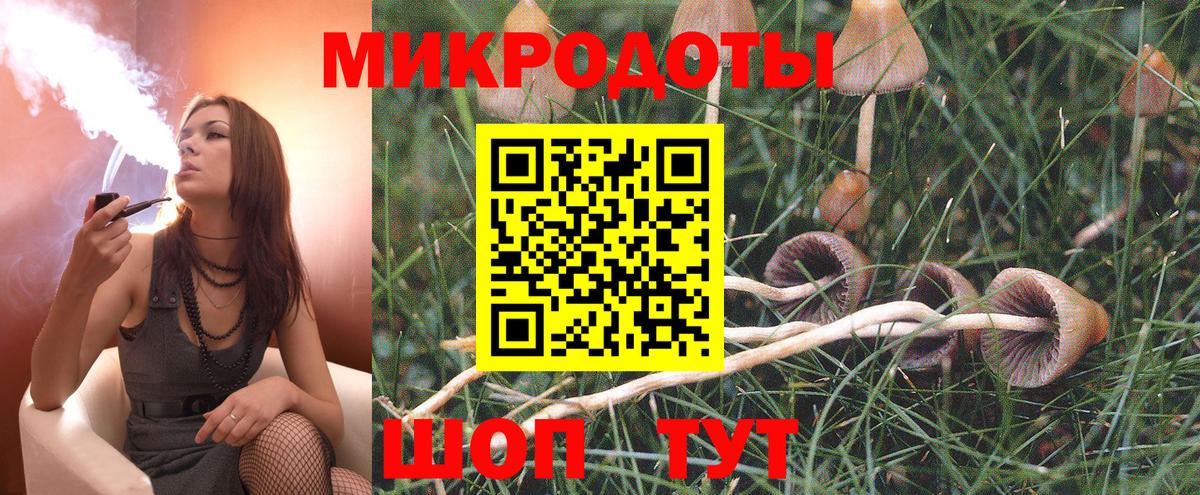 Псилоцибиновые грибы Psilocybe  Псилоцибиновые грибы мицелий  где продают   Магадан  Вход с VPN 